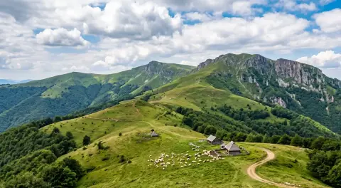 Transfer aerodrom Nikola Tesla Stara Planina: vodič, ruta i cena